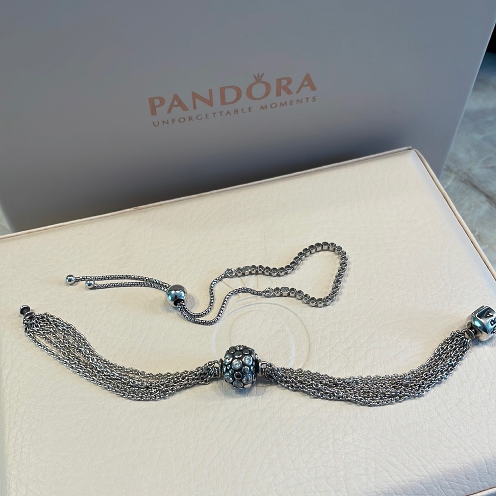 Pandora chain bracelet and clip.